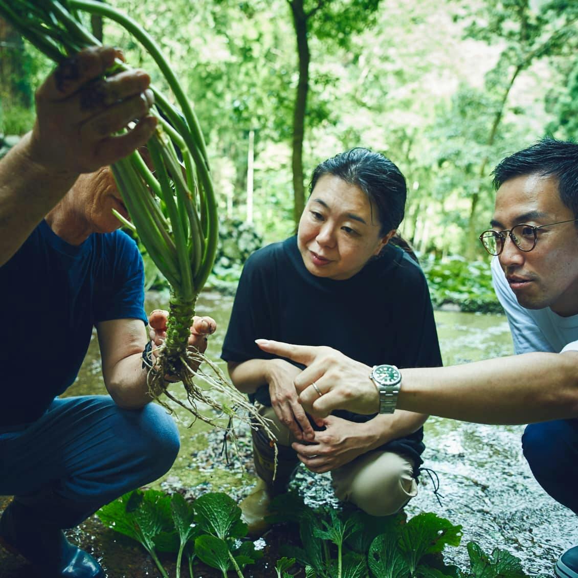 チューブわさびが進化中？エスビー「理想のわさび」と出会う旅