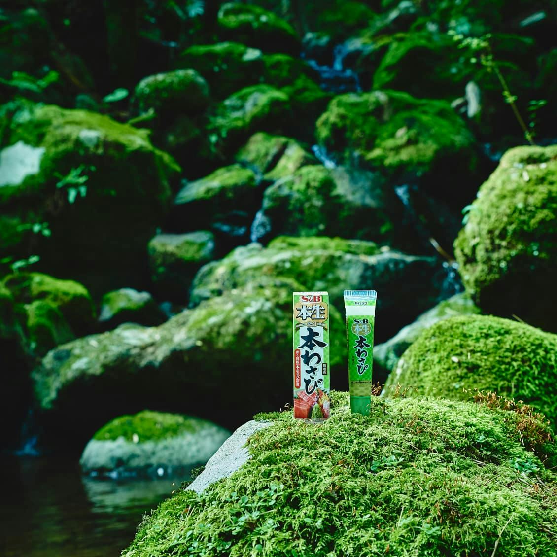 わさび　洋書　6点 わさび 洋書 6点 初心に戻って、自分のレベルの本を読む｜