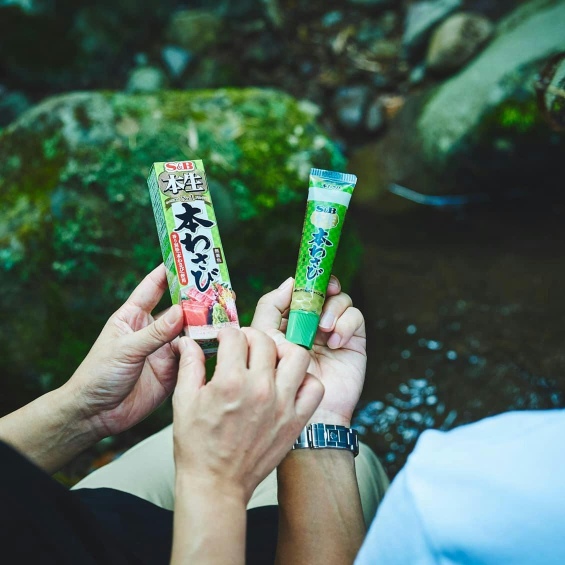 わさび　洋書　6点 わさび 洋書 6点 初心に戻って、自分のレベルの本を読む｜ポピー