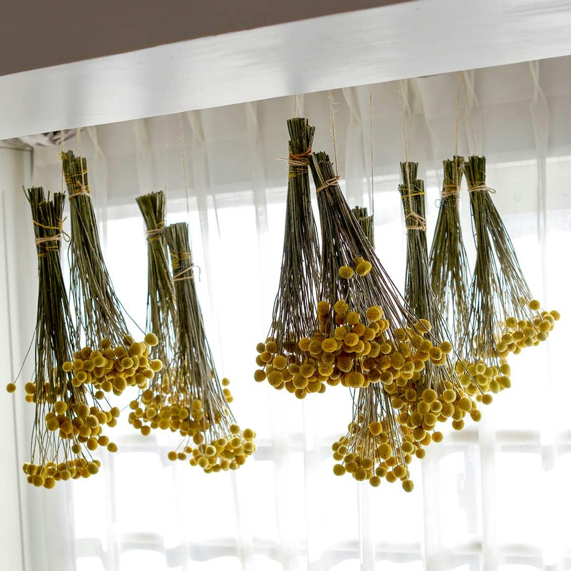 新商品】当店オリジナルのしめ縄リース！雑貨感覚で楽しめる、SOCUKA