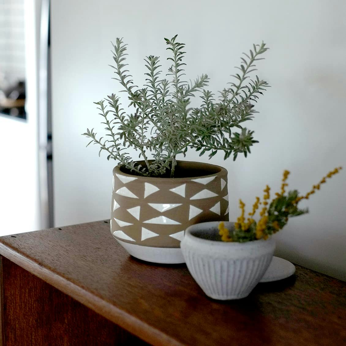 スタッフの愛用品 初心者さんにこそオススメしたい 陶器のような植木鉢で手軽にグリーンのある生活 北欧 暮らしの道具店 スタッフの愛用品 初心者さんにこそオススメしたい 陶器のような植木鉢で手軽にグリーンのある生活 北欧 暮らしの道具店