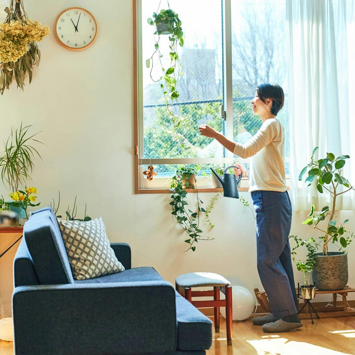 【日曜ラジオ｜チャポンと行こう！】第3夜：インテリアの味付けは植物？ 店長佐藤のグリーン選びと飾りかたのコツ 北欧、暮らしの道具店