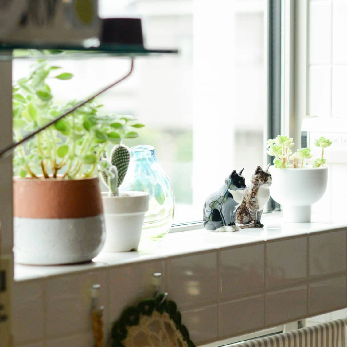 スタッフコラム 暮らしの中に散りばめたかったのは かわいい瞬間 北欧 暮らしの道具店