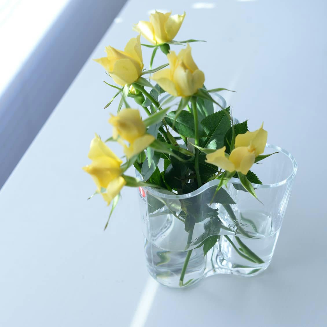 北欧フィンランドの アルヴァアアルトが手がけた 花瓶 北欧 暮らしの道具店