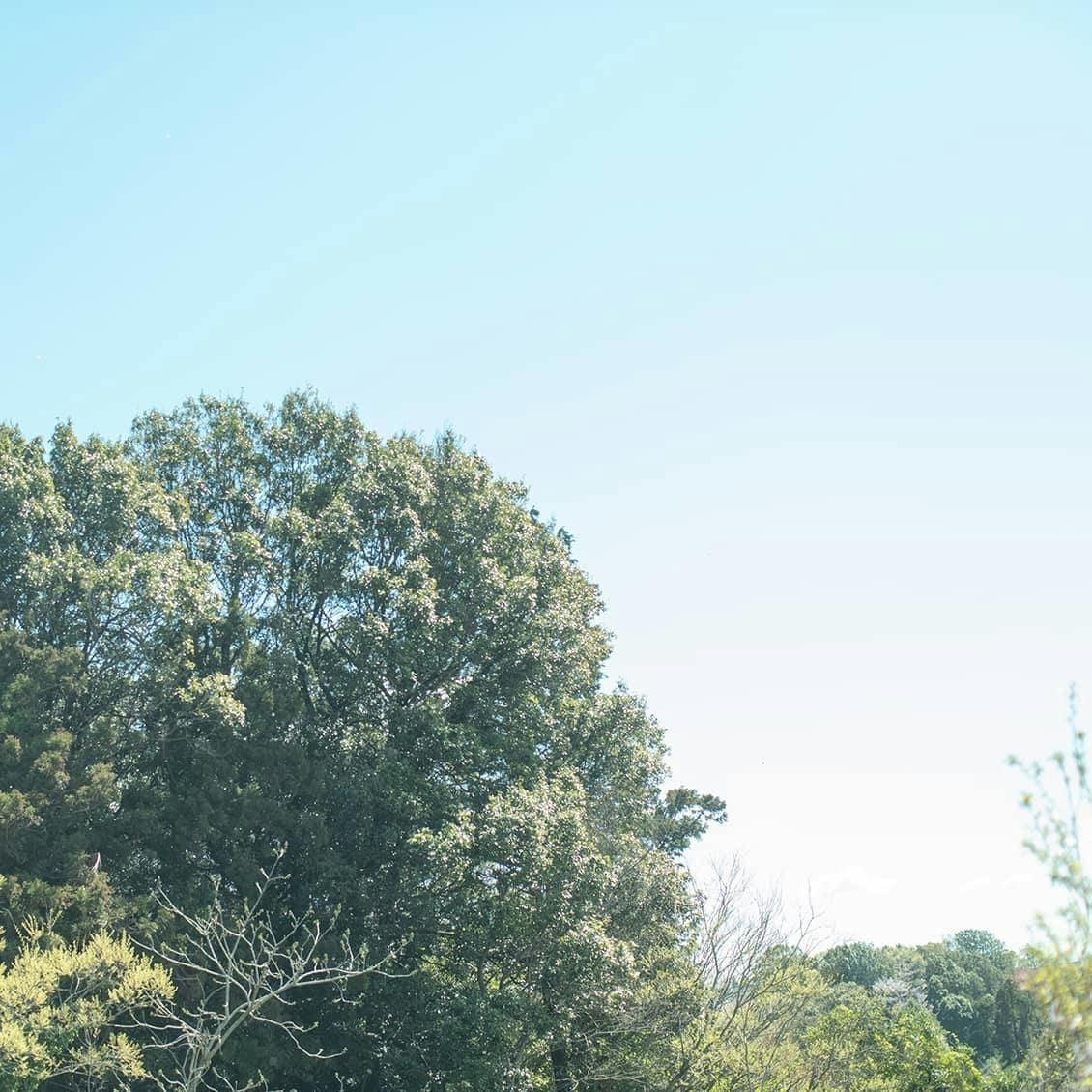 しぜんの国保育園齋藤美和さん ネガティブ思考から抜け出すコツとは 北欧 暮らしの道具店