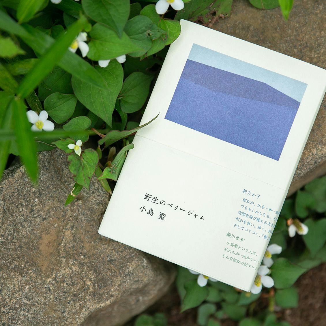 野生のベリージャム 小島聖 野生のベリージャム｜青幻舎 SEIGENSHA Art Publishing, Inc.