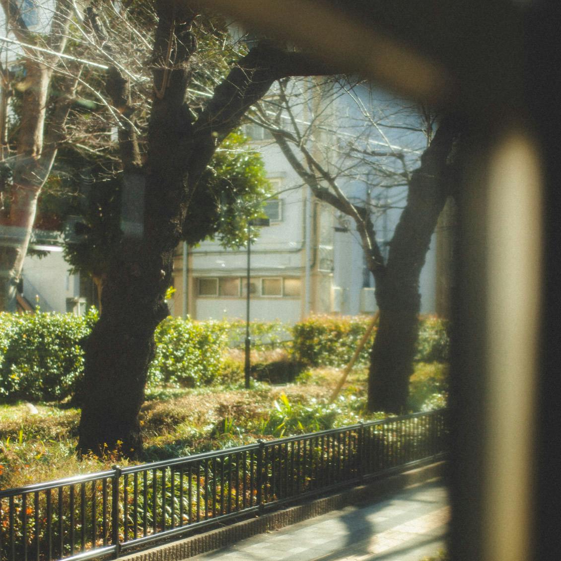 彼女が旅に出る理由 不安も苦手も山ほどある それでも何度だって旅に出たい スタッフ田中編 北欧 暮らしの道具店