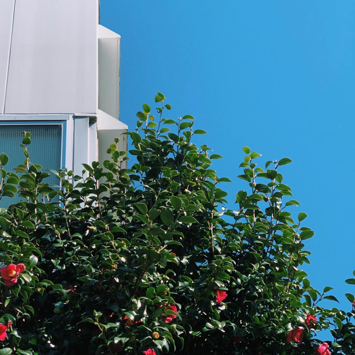 スタッフコラム 難しいは面白い 北欧 暮らしの道具店