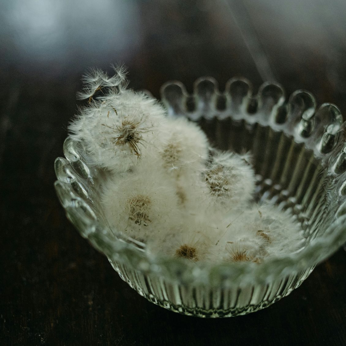 愛しい花仕事 後編 かわいらしい綿毛に思わずキュン ドライたんぽぽの作り方 北欧 暮らしの道具店
