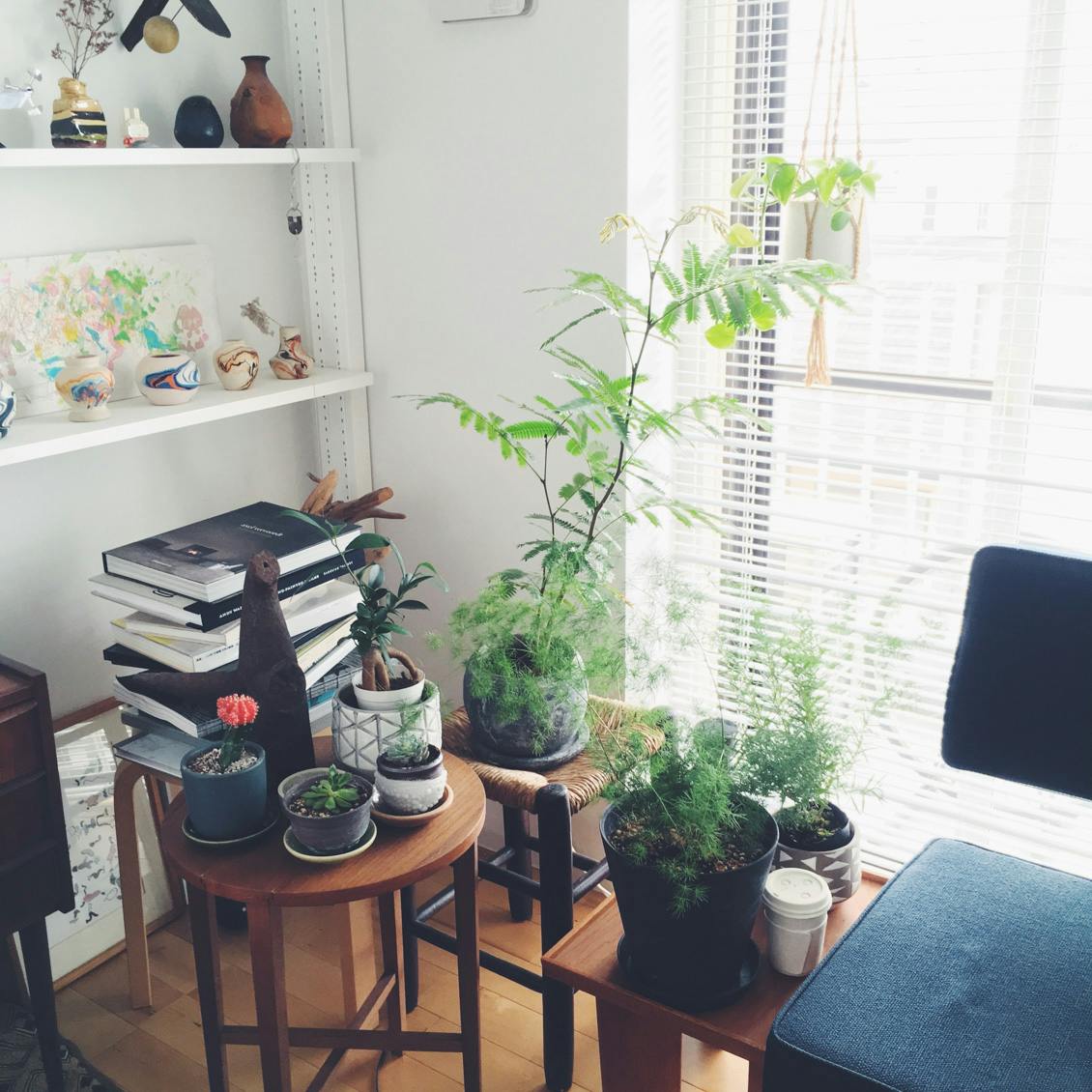 ドウダンツツジの切り花 夏に強い枝ものの選び方と花瓶での飾り方 北欧 暮らしの道具店