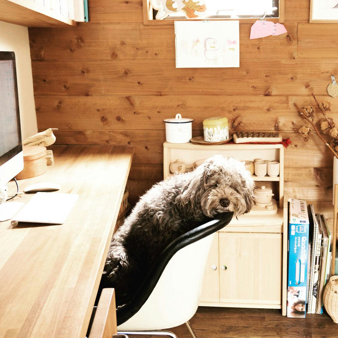 うちのイヌ、うちのネコ】娘さんと犬のやりとりが微笑ましい。写真家