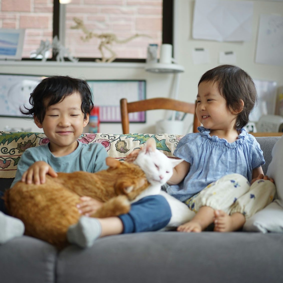 うちのイヌ うちのネコ 子供2人と猫2匹で 仲良く育っています フードスタイリスト つがねゆきこさん宅の猫たち 北欧 暮らしの道具店 うちのイヌ うちのネコ 子供2人と猫2匹で 仲良く育っています フードスタイリスト つがねゆきこさん宅の猫たち 北欧 暮らしの道具店
