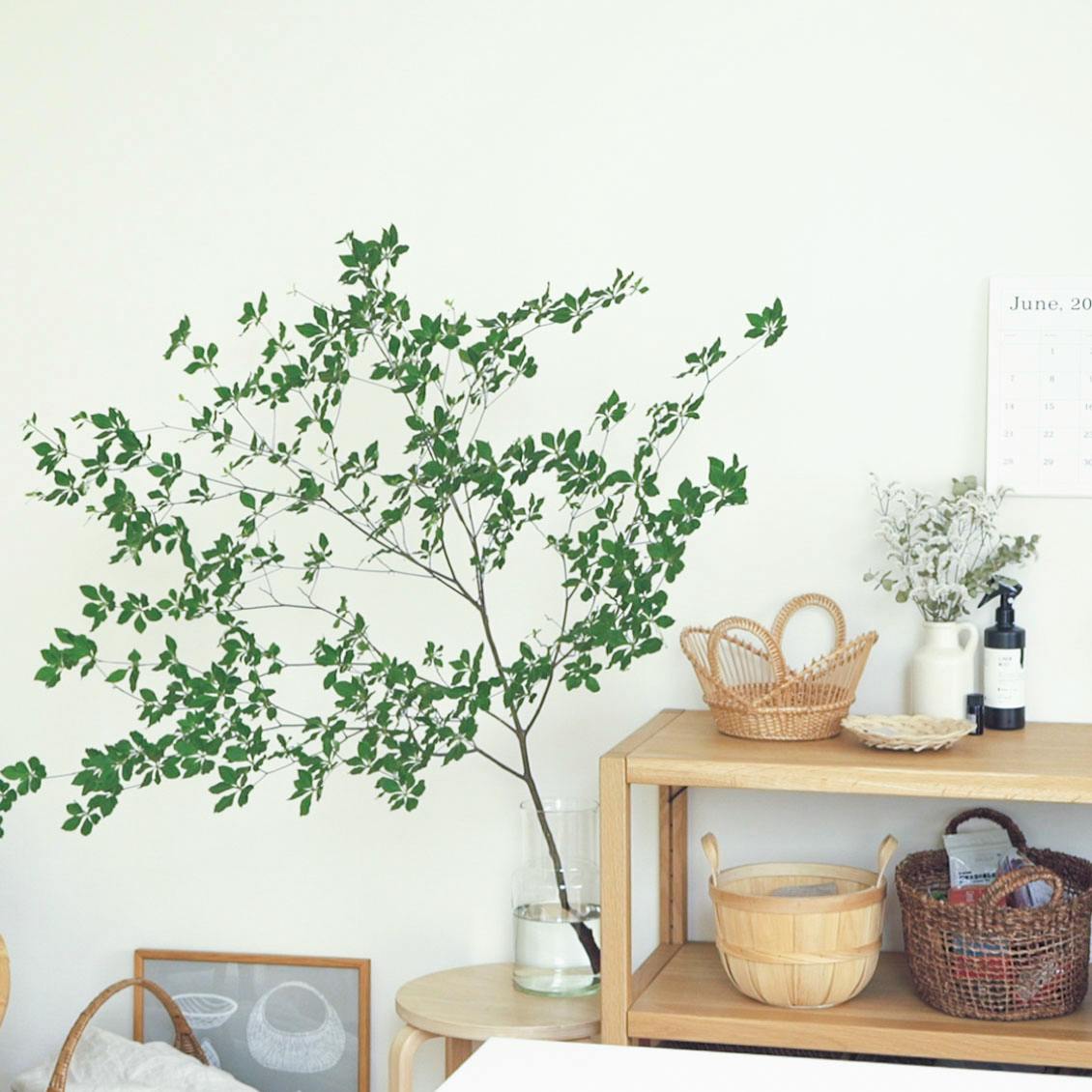 夏を楽しむ 家ごもりもはかどりそう 爽やかに過ごすための 新しい選択肢 北欧 暮らしの道具店