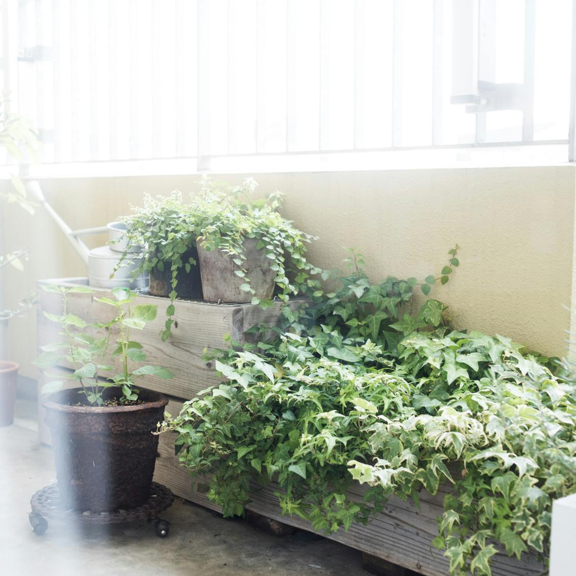 手軽にしっかり保湿 シンプルなひとが選ぶ ロート製薬 肌ラボ の極潤プレミアムの魅力とは 北欧 暮らしの道具店