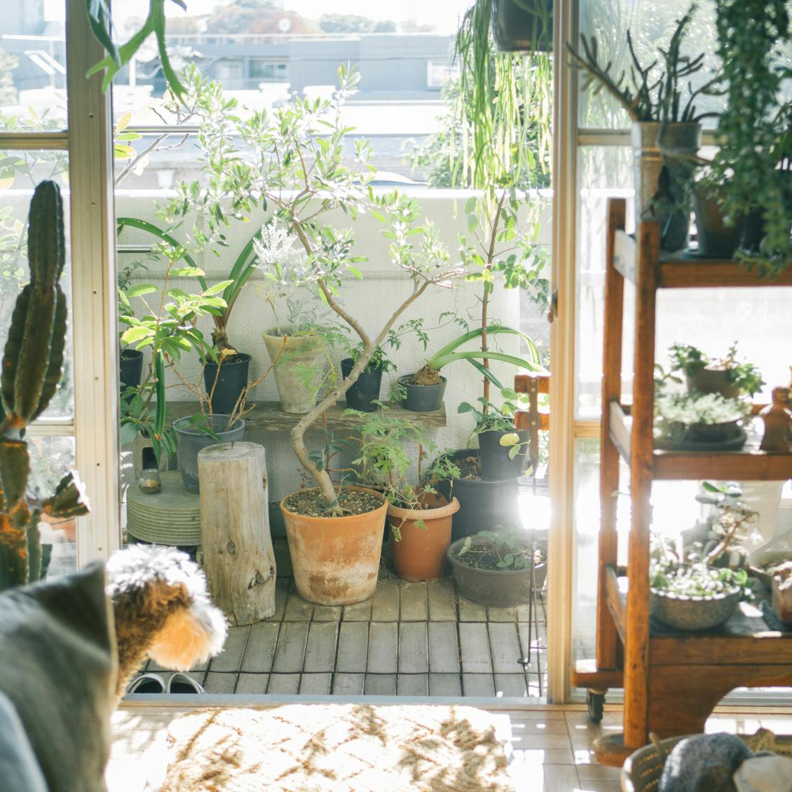 好きを集めた家づくり】第3話：北欧テイストで揃えたリビングと