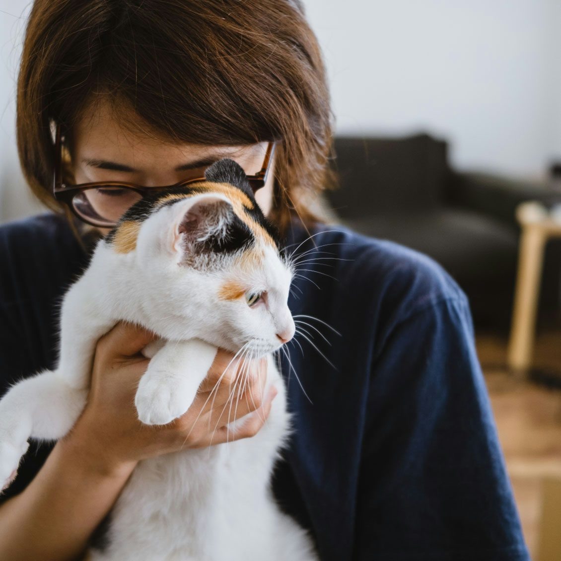 うちのイヌ うちのネコ 猫との暮らしで気づいた コミュニケーションの新しい視点 北欧 暮らしの道具店 うちのイヌ うちのネコ 猫との暮らしで気づいた コミュニケーションの新しい視点 北欧 暮らしの道具店