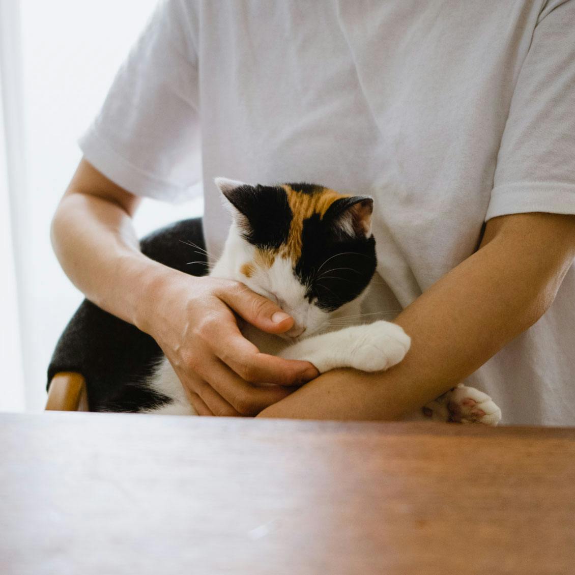 うちのイヌ、うちのネコ】猫との暮らしで気づいた、コミュニケーション 