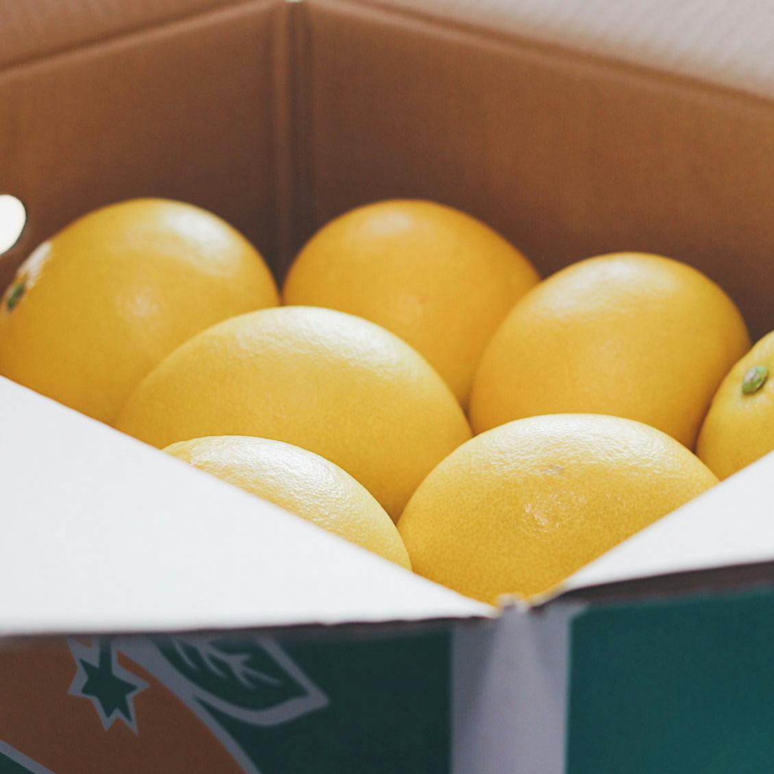 スタッフコラム 文旦が好きな理由 北欧 暮らしの道具店