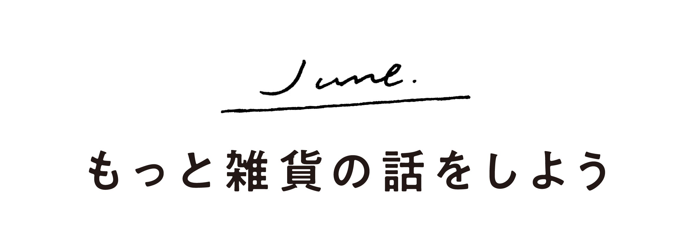 もっと雑貨のはなしをしよう コインランドリーと これさえあれば 日用品愛好家が選んだランドリートート 北欧 暮らしの道具店