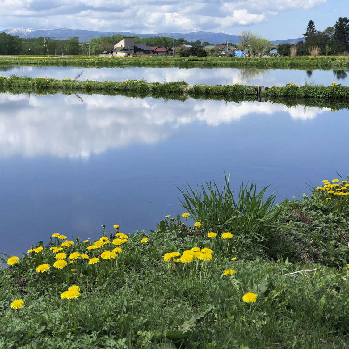 あの街に住んでみたら】住みなれた東京から北海道へ。暮らしを