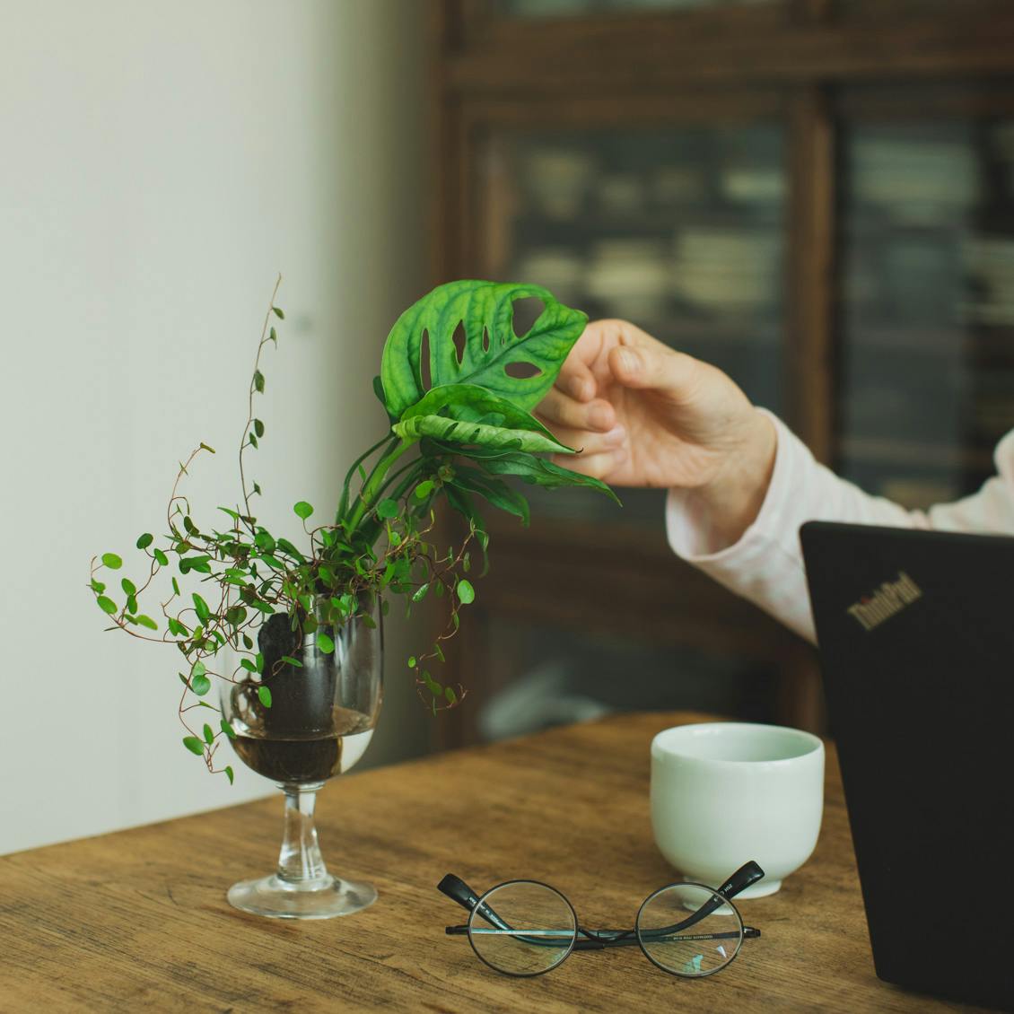 &Greenは水やりも寄せ植えも簡単！届いたその日から始まる植物のある