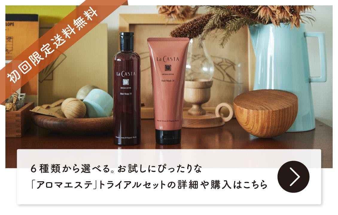 ラ・カスタ ヘアケア 10個セット 限定商品ラカスタCSシャンプー ラ・カスタ ヘアケア 10個セット 限定商品ラカスタCSシャンプー