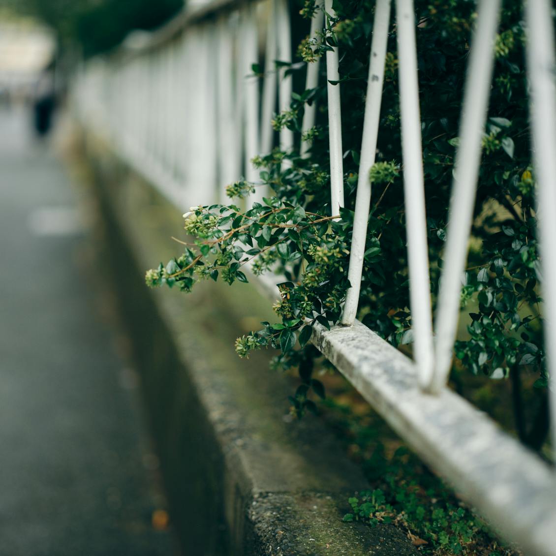 5秒のみつけかた】前編：嬉しい、悲しいという言葉は使わない。見た