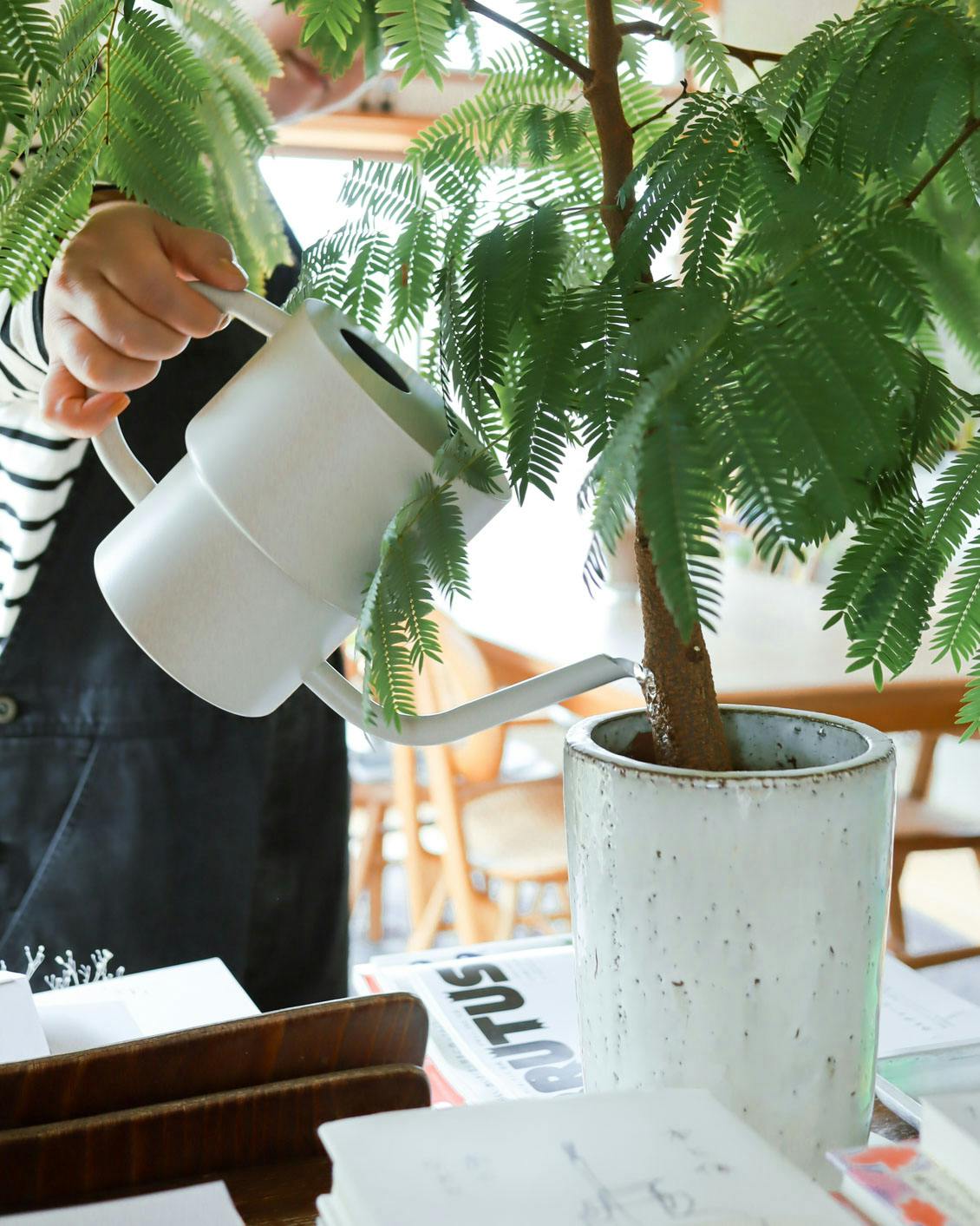 専用】もろと様 Vamo Sonderborg社ダイニングチェア① 専用】もろと様