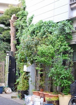 北欧 暮らしの道具店 の実店舗が誕生します 北欧 暮らしの道具店 北欧 暮らしの道具店 の実店舗が誕生します 北欧 暮らしの道具店